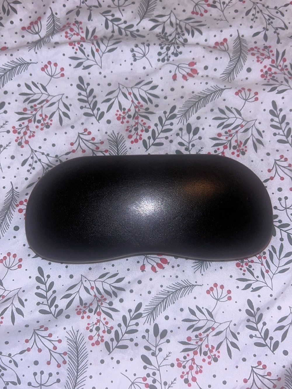 Ray-Ban Black Hard Sunglasses Case